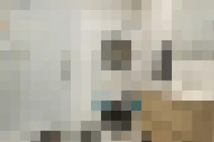 Swadenburg 36 Gouda thumbnail 4