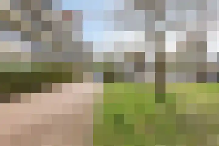 Swadenburg 36 Gouda thumbnail 6