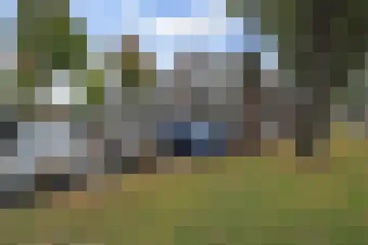 Swadenburg 38 Gouda thumbnail 28