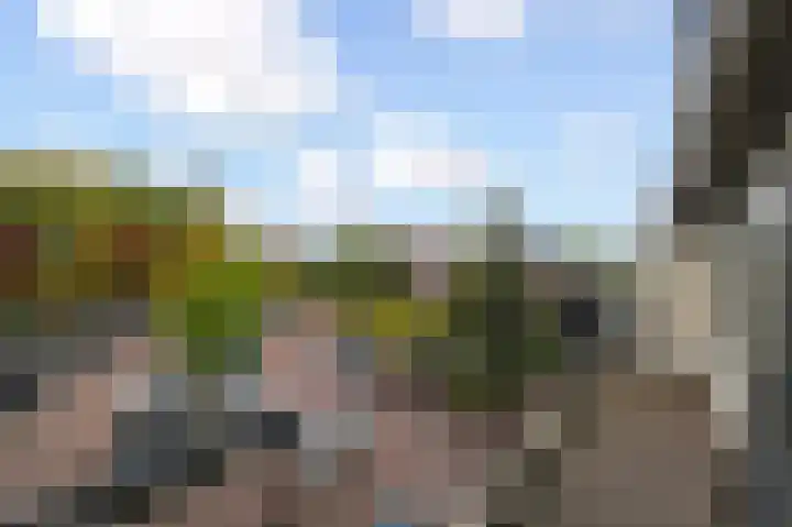 Swadenburg 38 Gouda thumbnail 5
