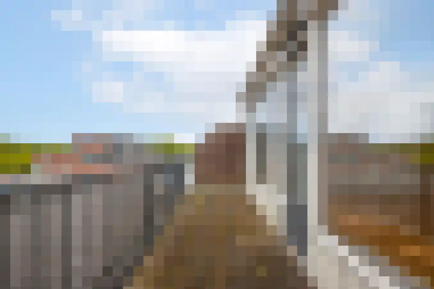 Swadenburg 64 Gouda thumbnail 31