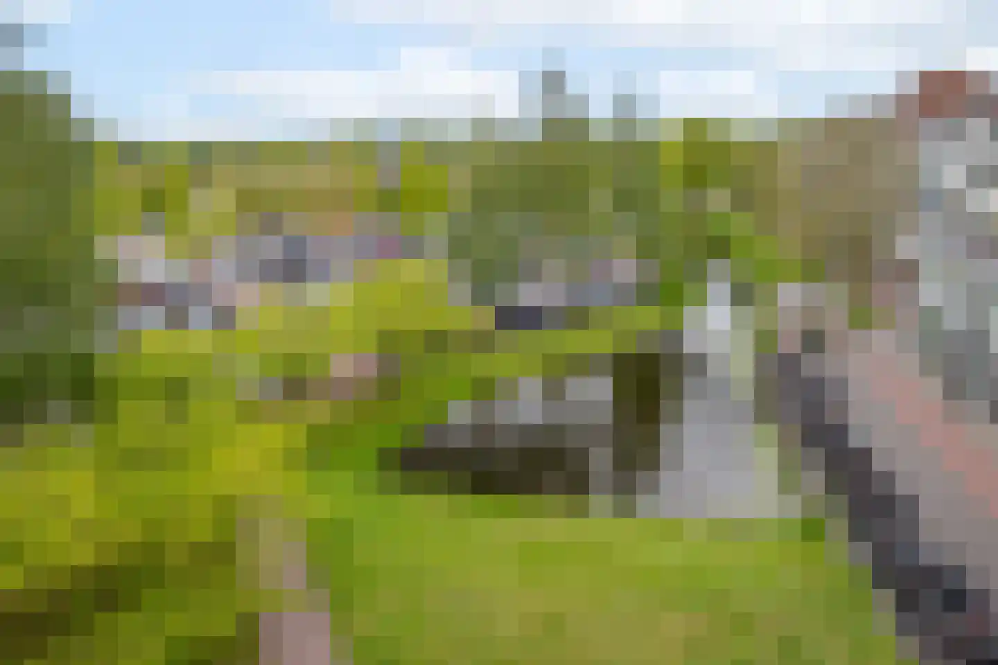 Swadenburg 64 Gouda thumbnail 33