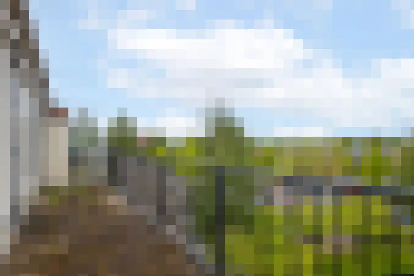 Swadenburg 64 Gouda thumbnail 4