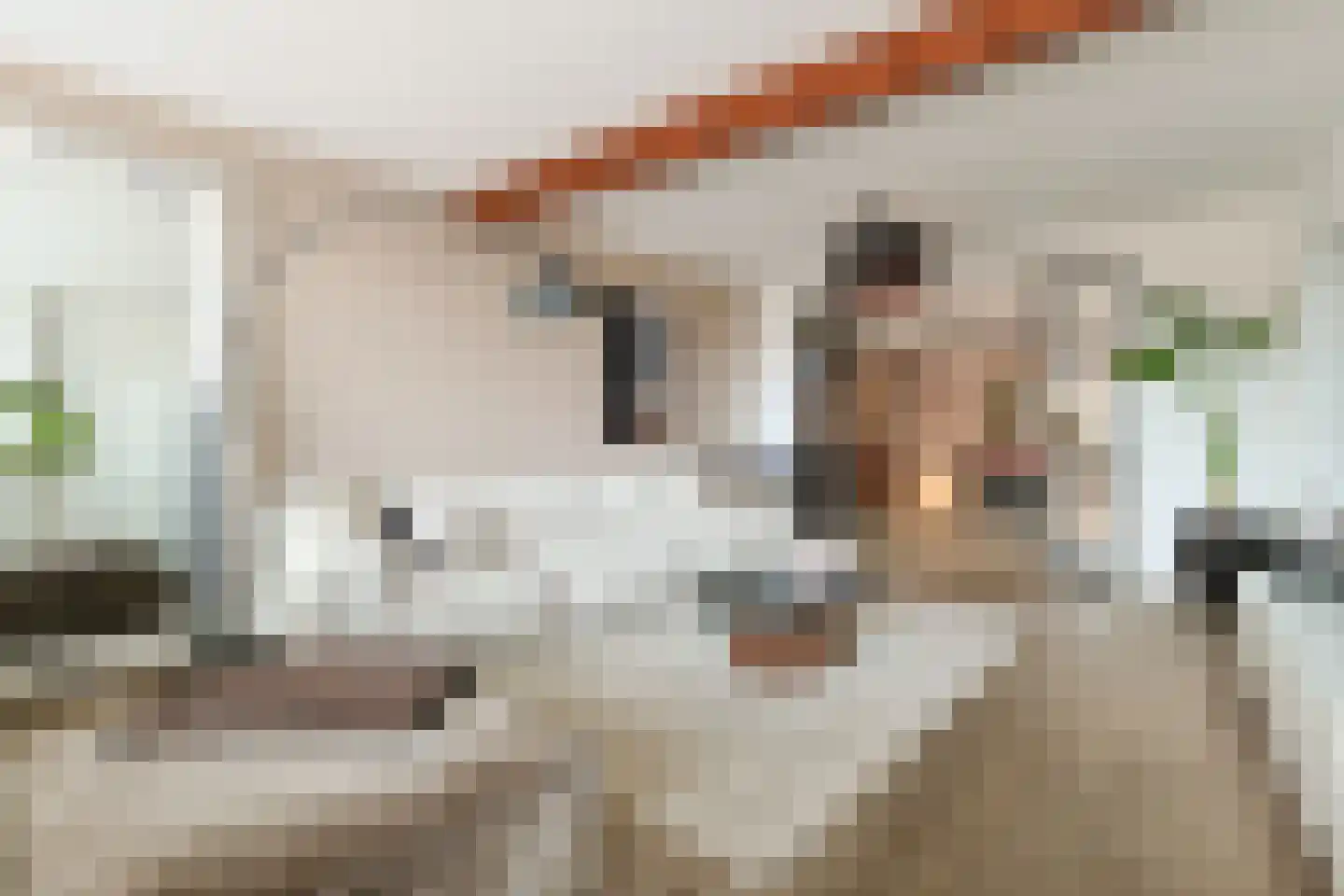 Swadenburgerdam 13 Zwammerdam thumbnail 13