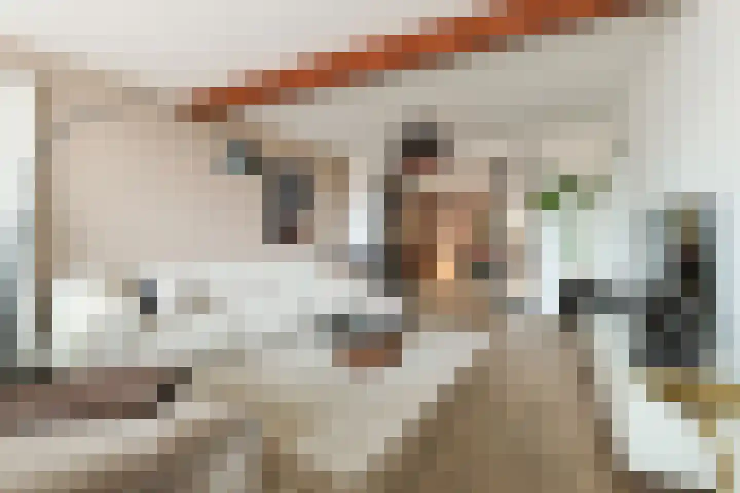 Swadenburgerdam 13 Zwammerdam thumbnail 14