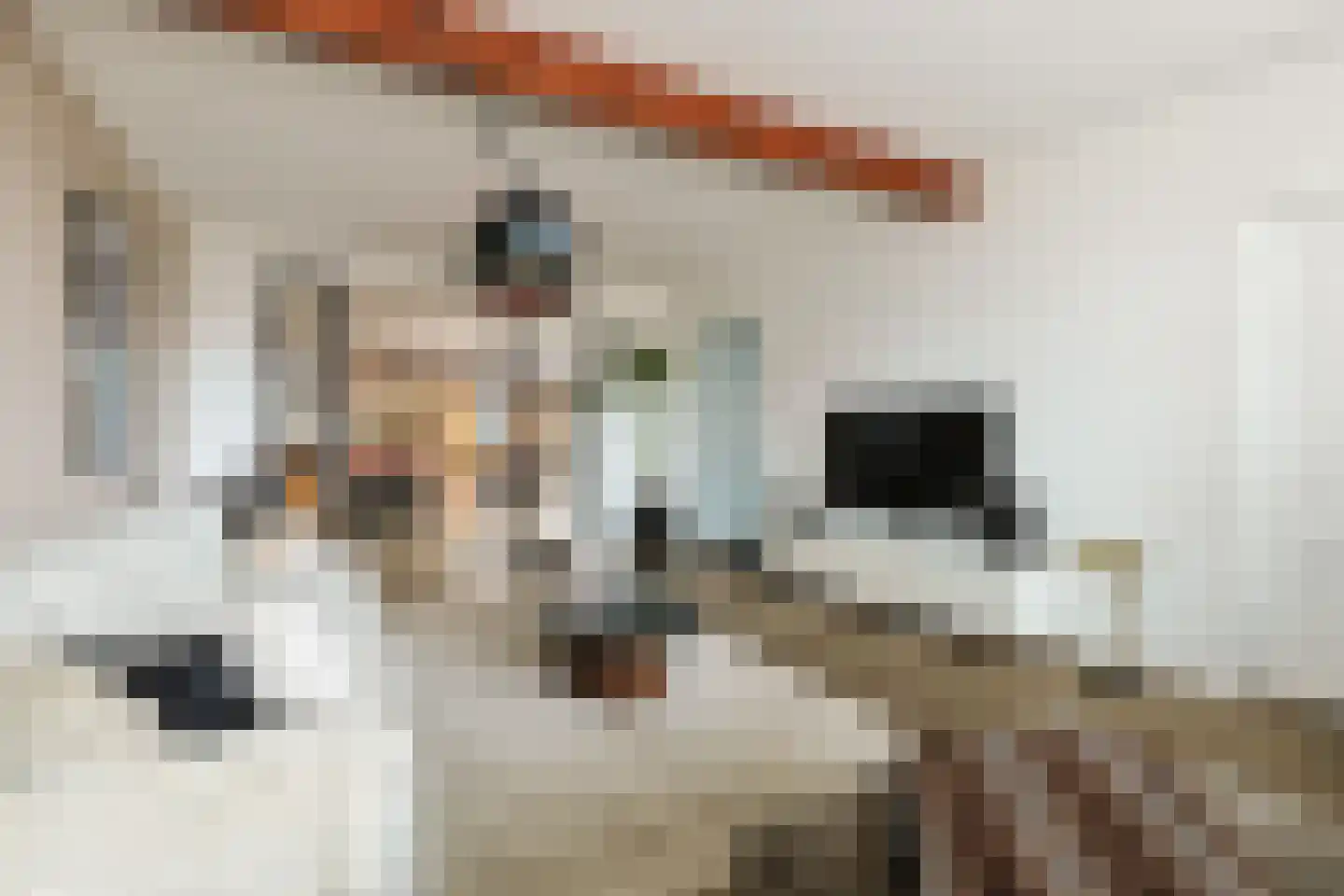 Swadenburgerdam 13 Zwammerdam thumbnail 15