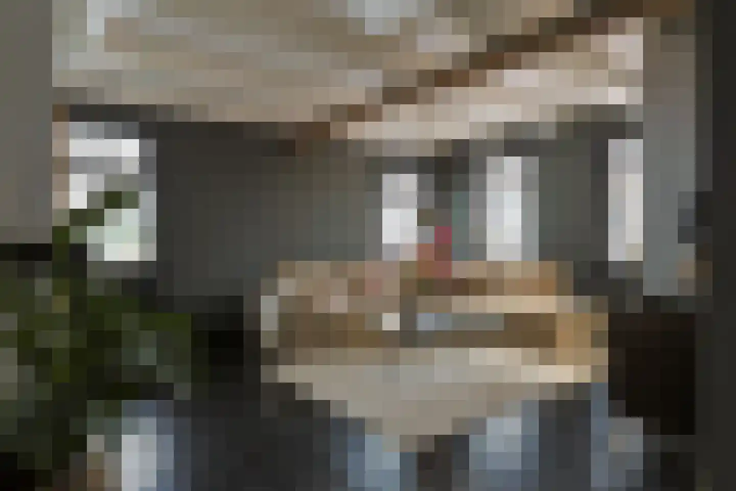 Swadenburgerdam 13 Zwammerdam thumbnail 16