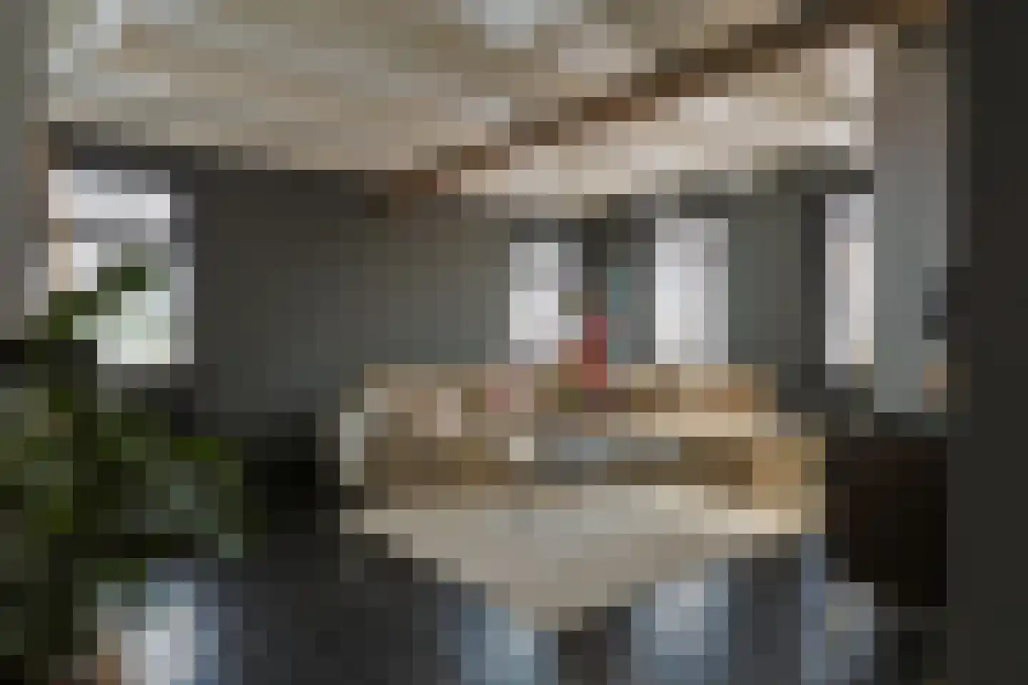 Swadenburgerdam 13 Zwammerdam thumbnail 17