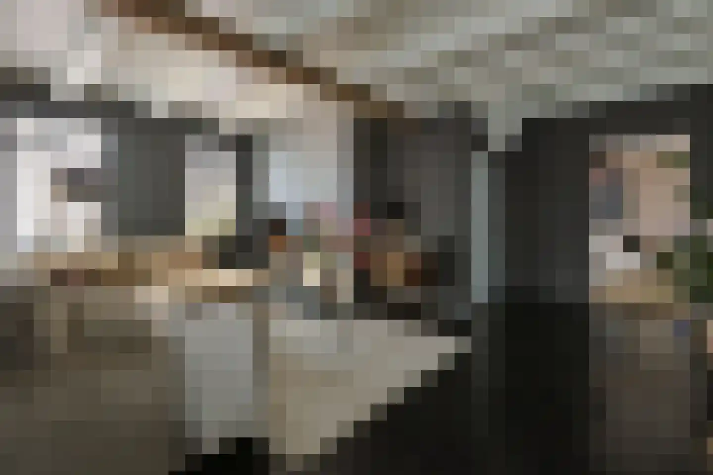Swadenburgerdam 13 Zwammerdam thumbnail 18