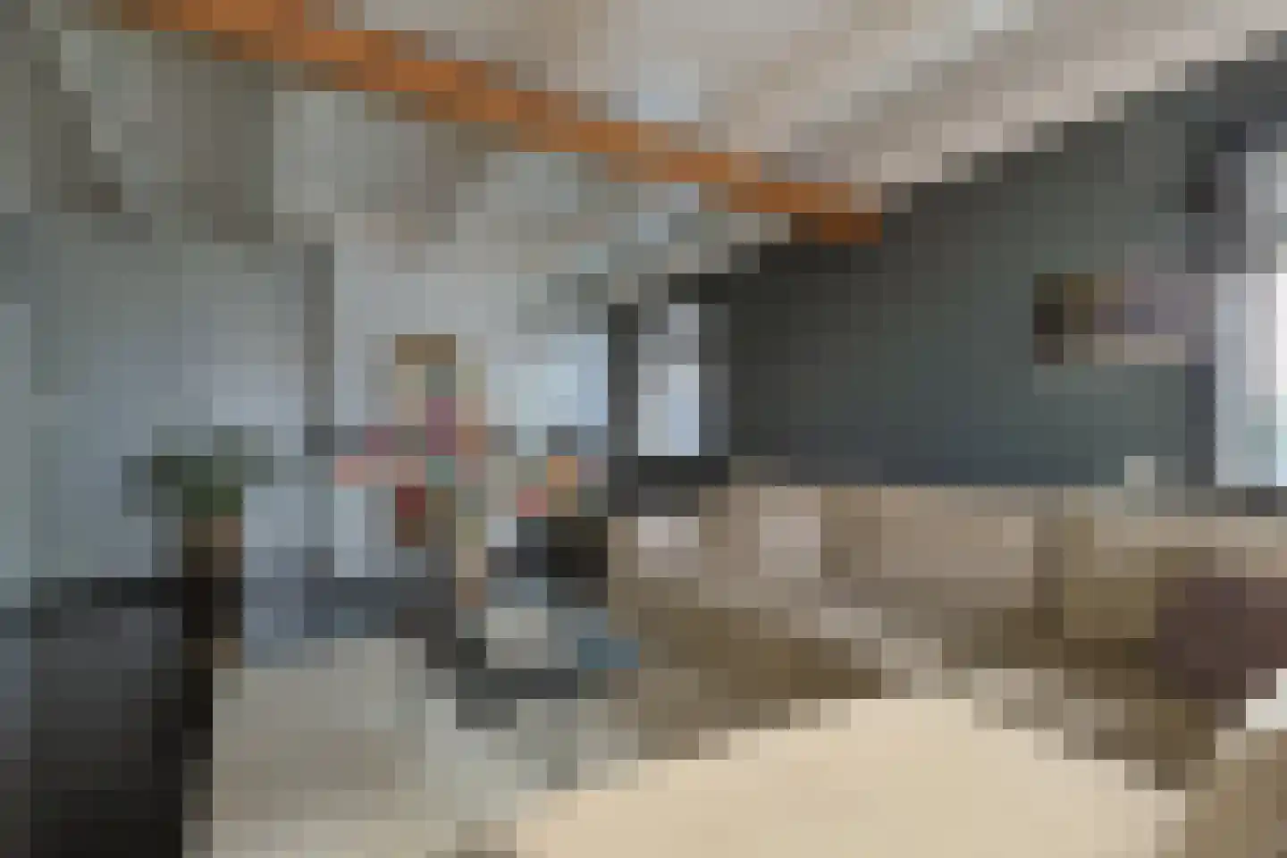 Swadenburgerdam 13 Zwammerdam thumbnail 21