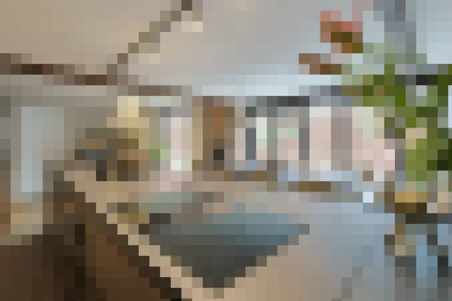 Swadenburgerdam 13 Zwammerdam thumbnail 29
