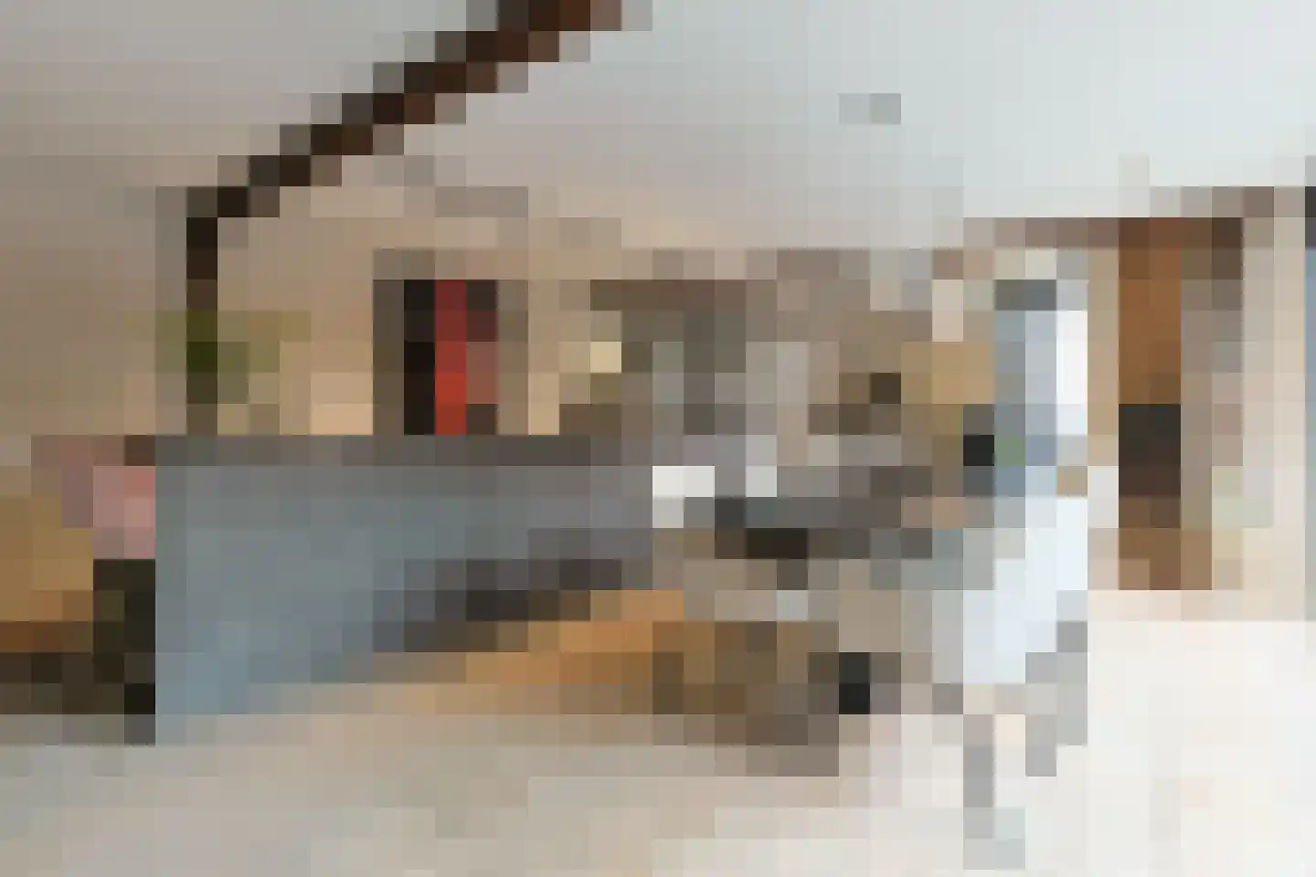 Swadenburgerdam 13 Zwammerdam thumbnail 33
