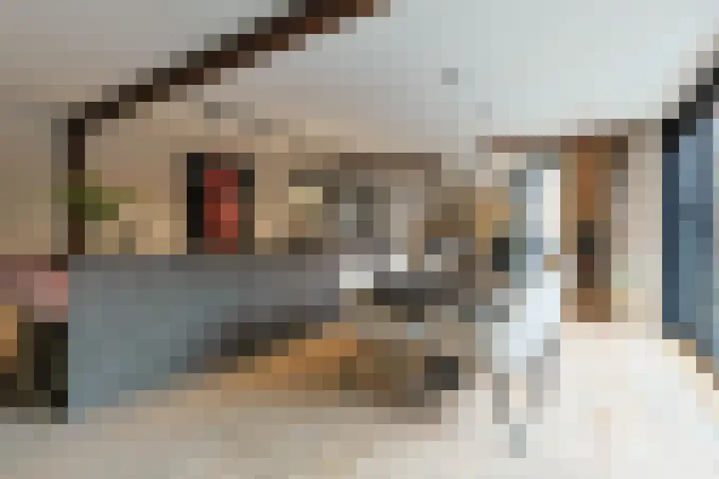 Swadenburgerdam 13 Zwammerdam thumbnail 4