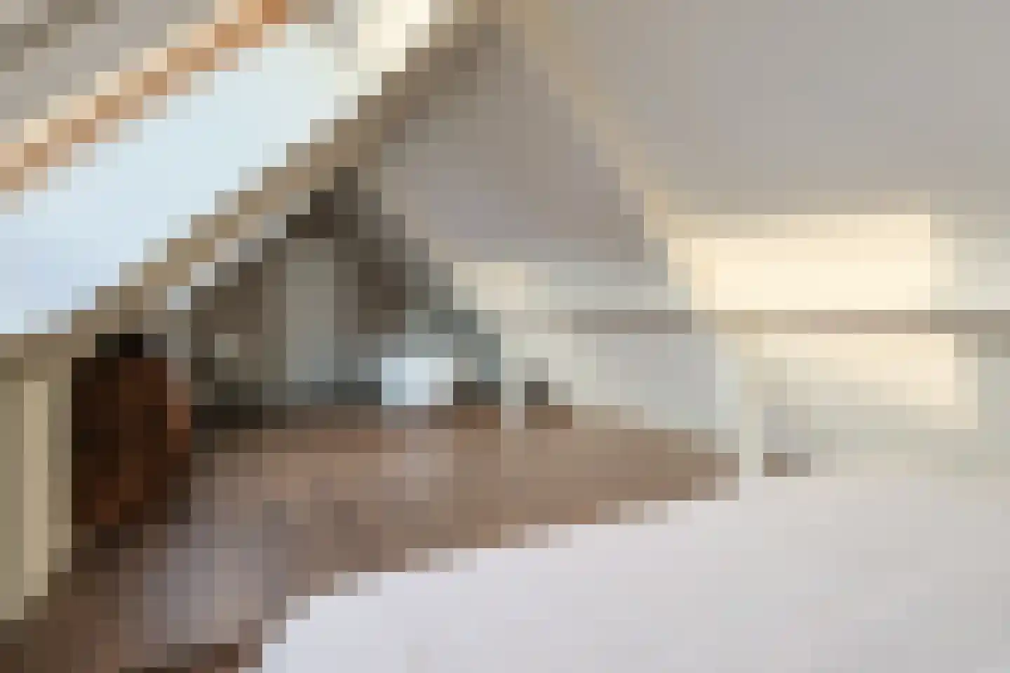 Swadenburgerdam 13 Zwammerdam thumbnail 40