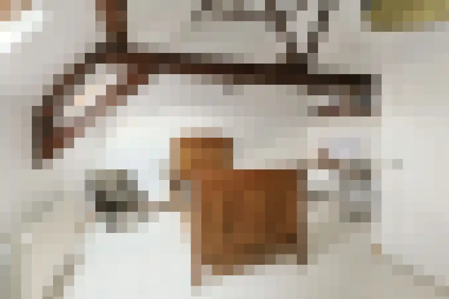 Swadenburgerdam 13 Zwammerdam thumbnail 43