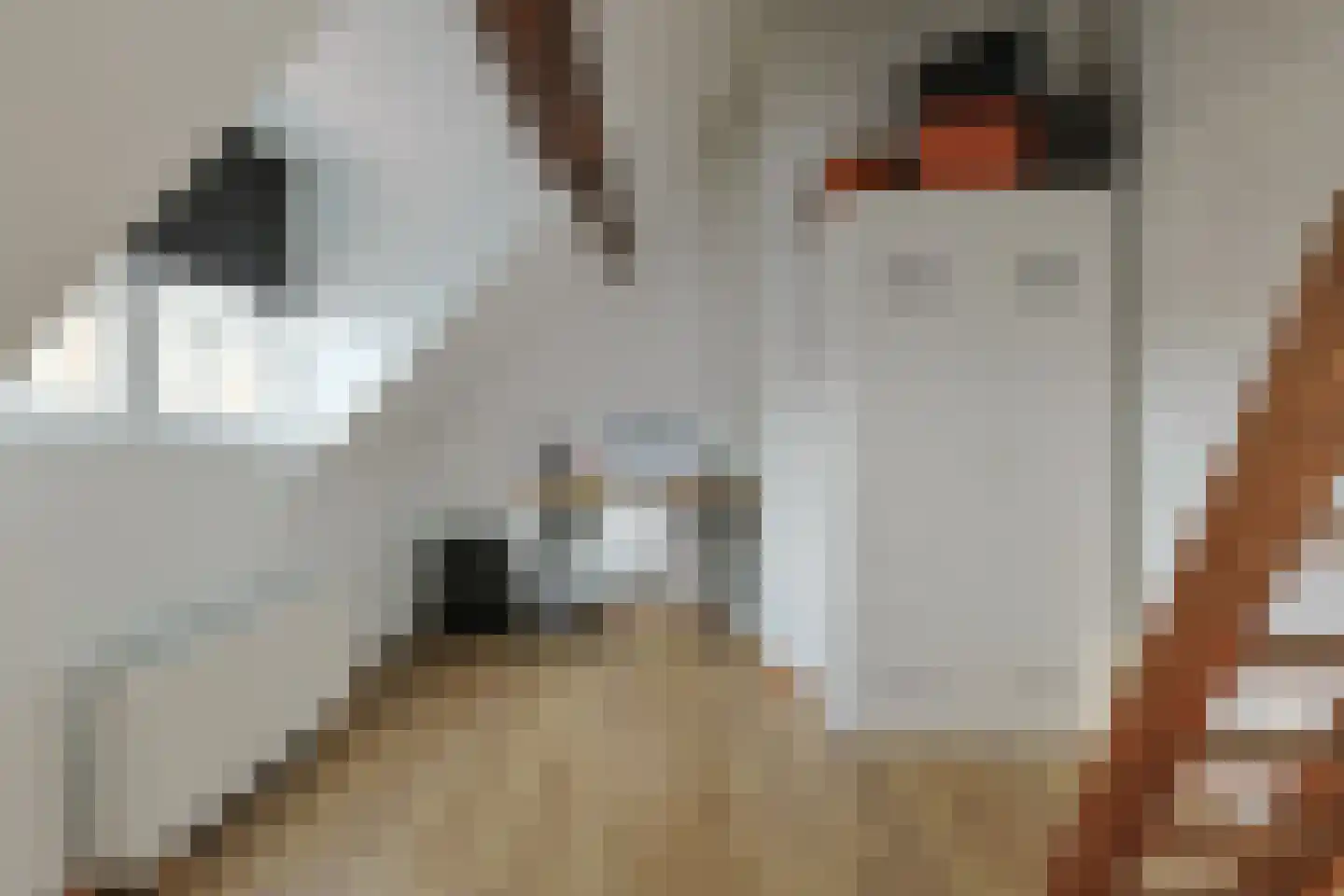 Swadenburgerdam 13 Zwammerdam thumbnail 48