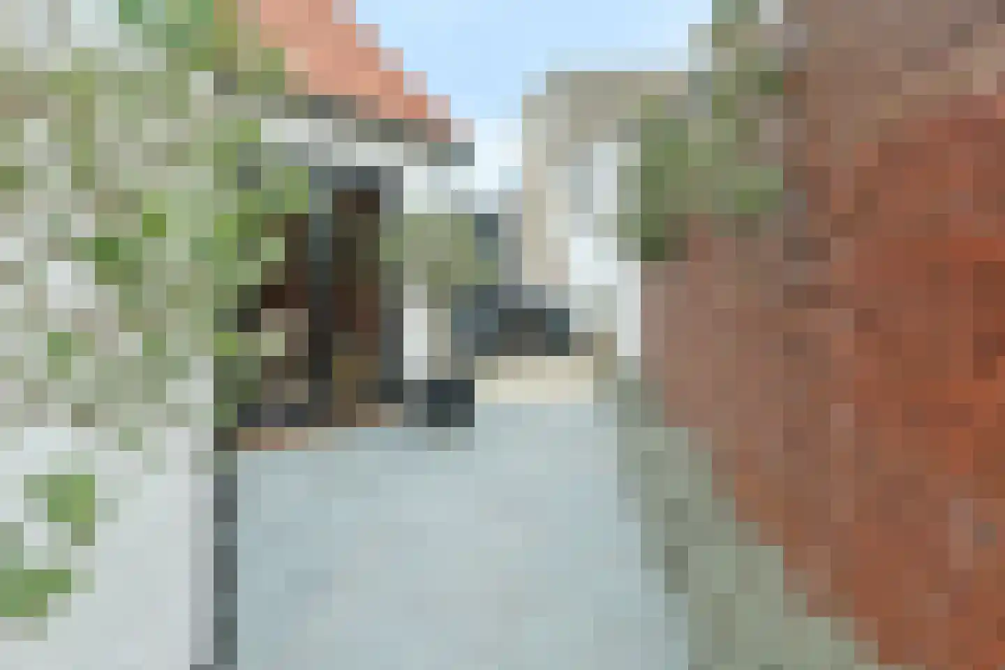 Swadenburgerdam 13 Zwammerdam thumbnail 53