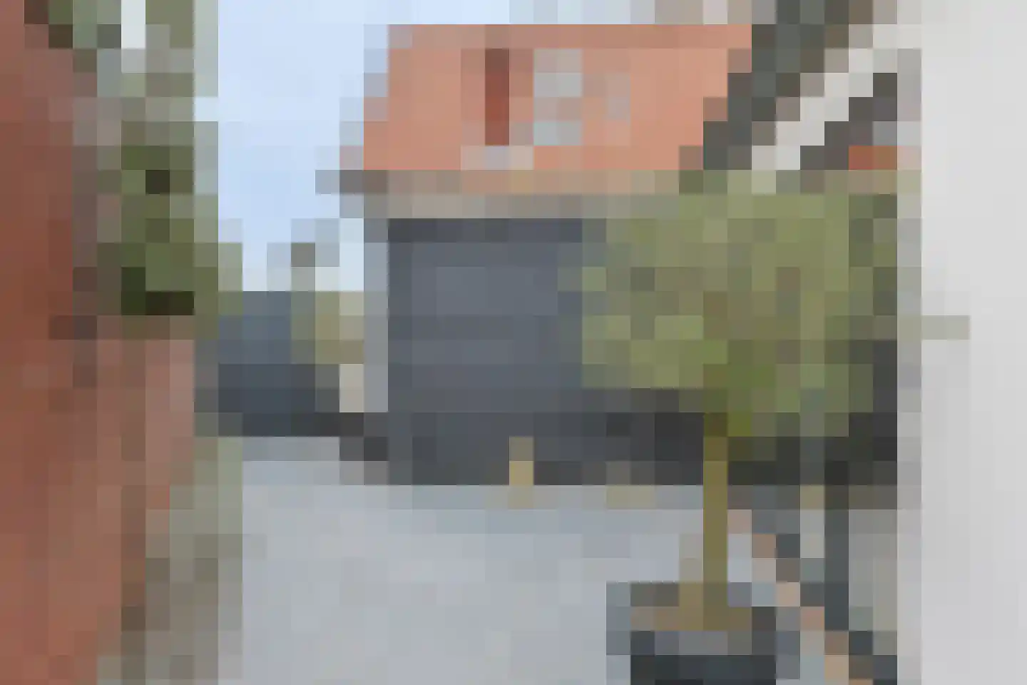 Swadenburgerdam 13 Zwammerdam thumbnail 57