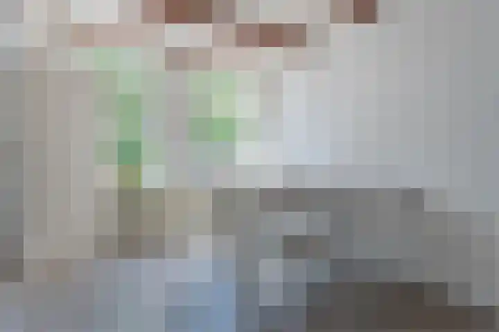 Swadenburgerdam 25 Zwammerdam thumbnail 11
