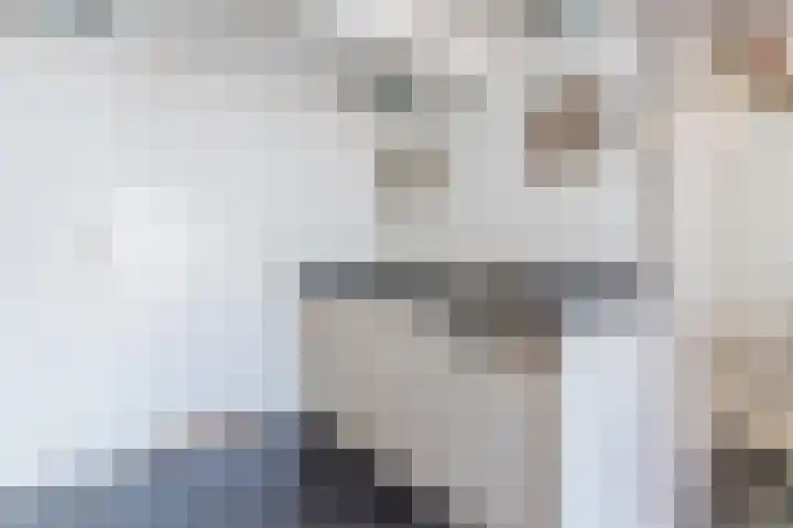 Swadenburgerdam 25 Zwammerdam thumbnail 16