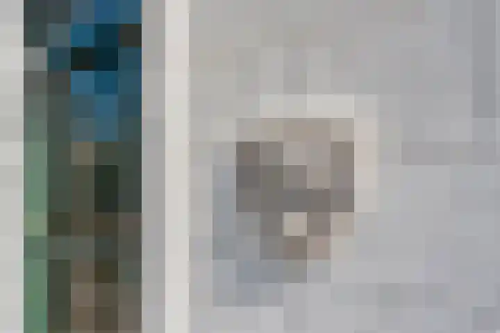 Swadenburgerdam 25 Zwammerdam thumbnail 4