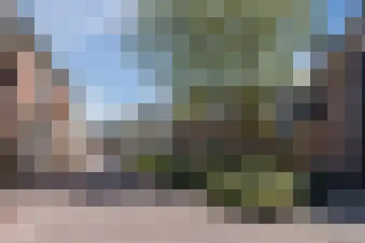 Swadenburgerdam 25 Zwammerdam thumbnail 41