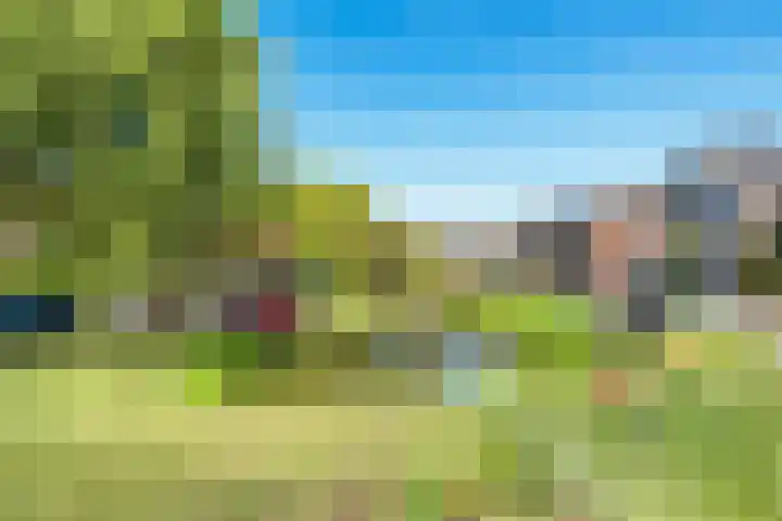Swadenburgerdam 25 Zwammerdam thumbnail 42
