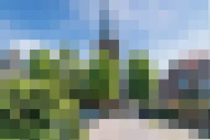 Swadenburgerdam 25 Zwammerdam thumbnail 43