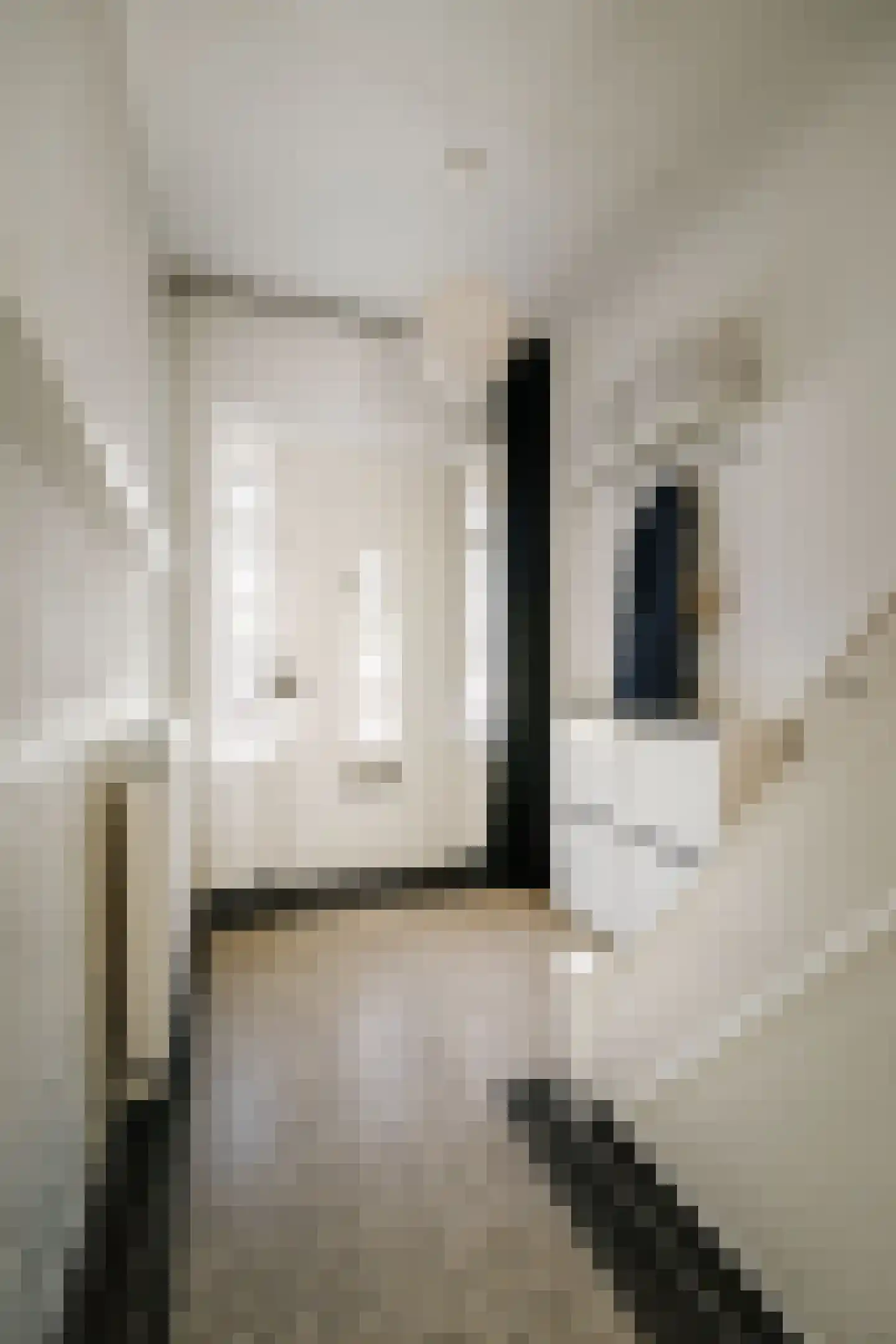 Swaefkenstraat 17 Deventer thumbnail 6