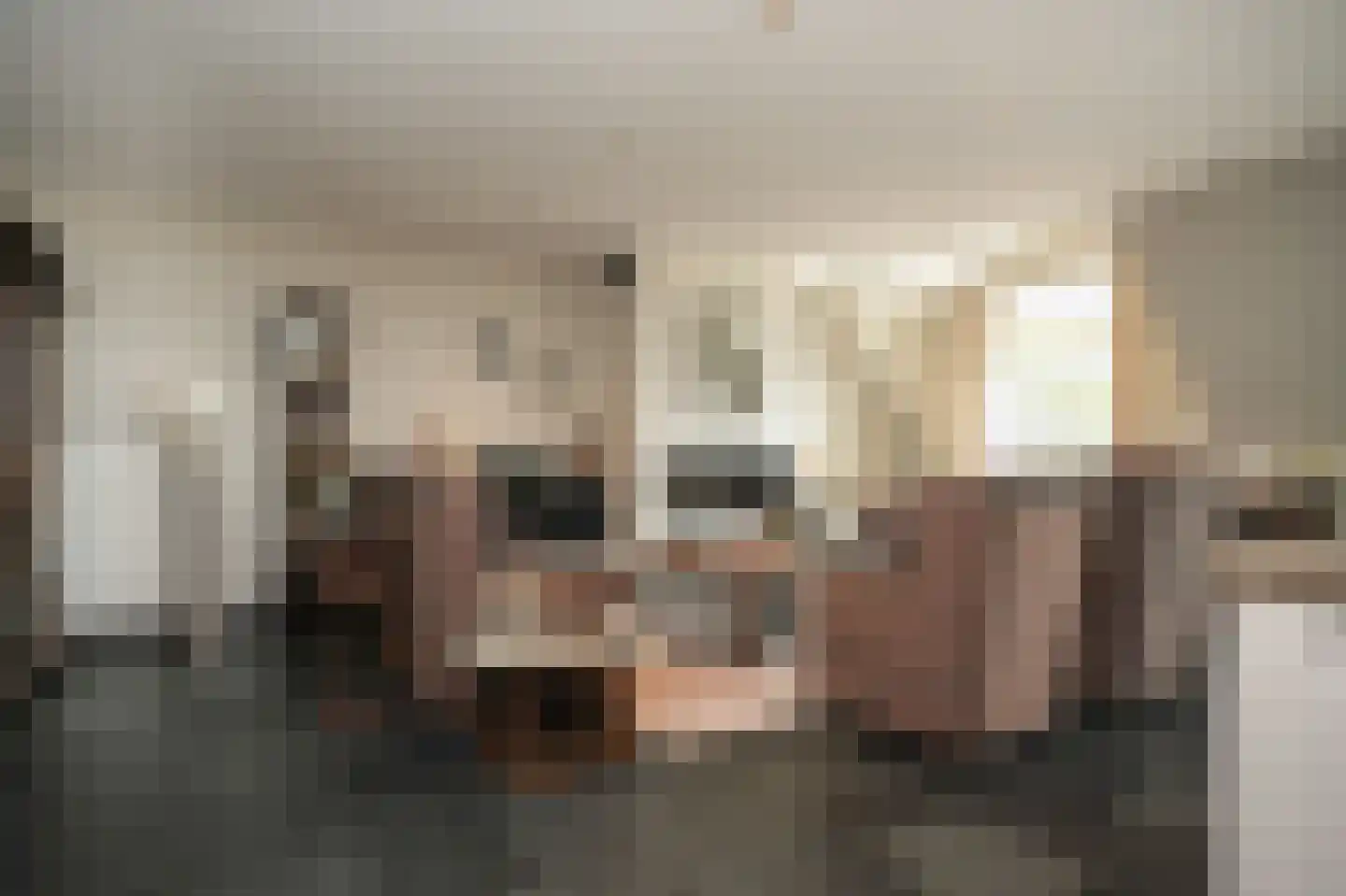 Swaenenstate 18 Opheusden thumbnail 12