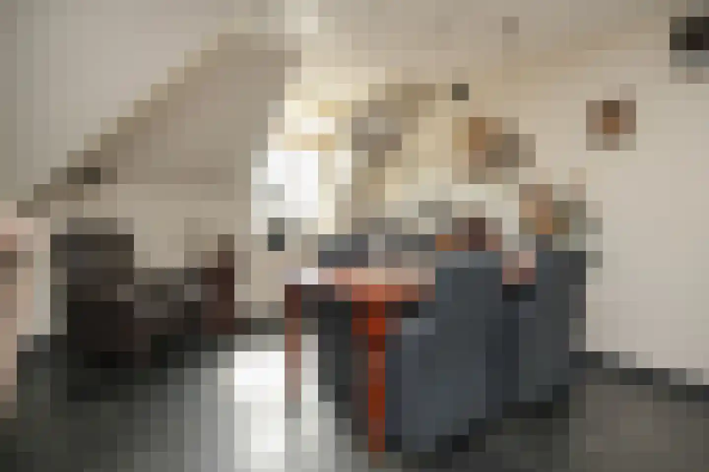 Swaenenstate 18 Opheusden thumbnail 13