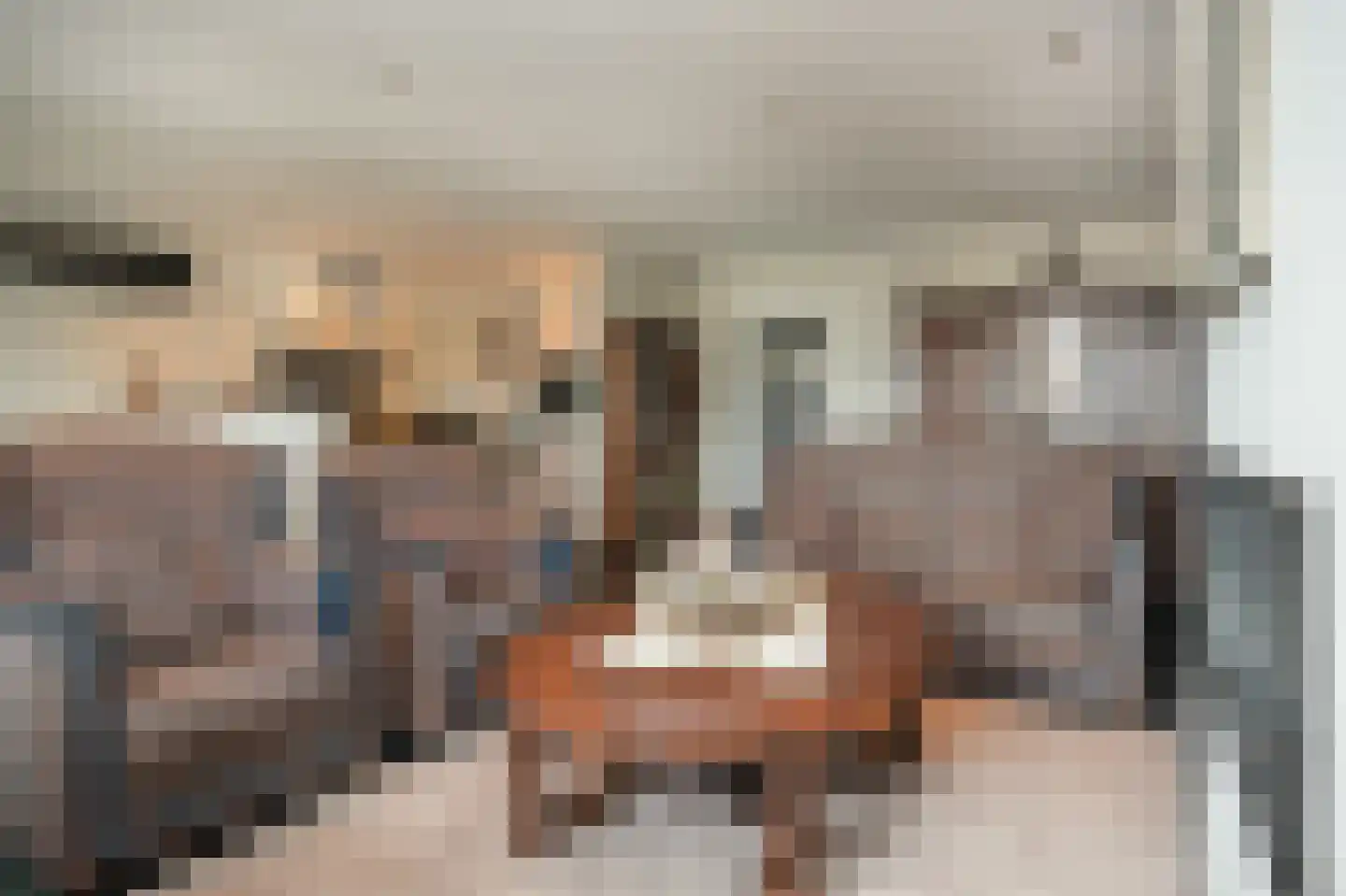 Swaenenstate 18 Opheusden thumbnail 16