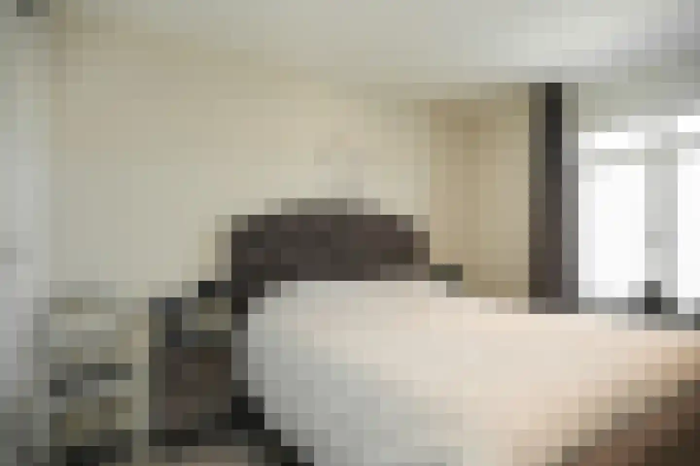Swaenenstate 18 Opheusden thumbnail 18