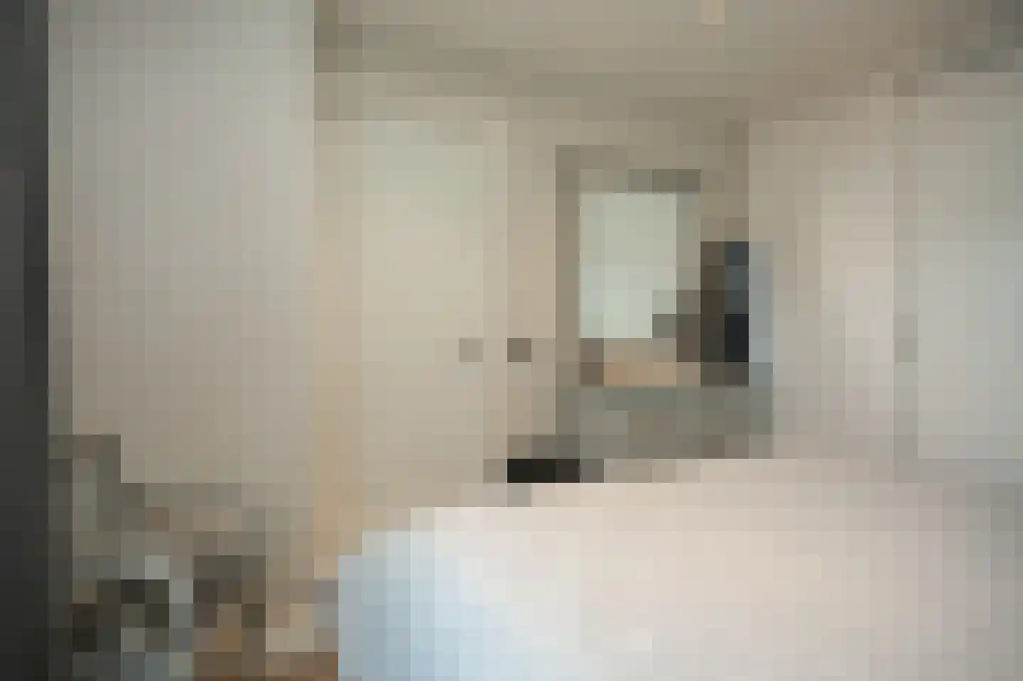 Swaenenstate 18 Opheusden thumbnail 19