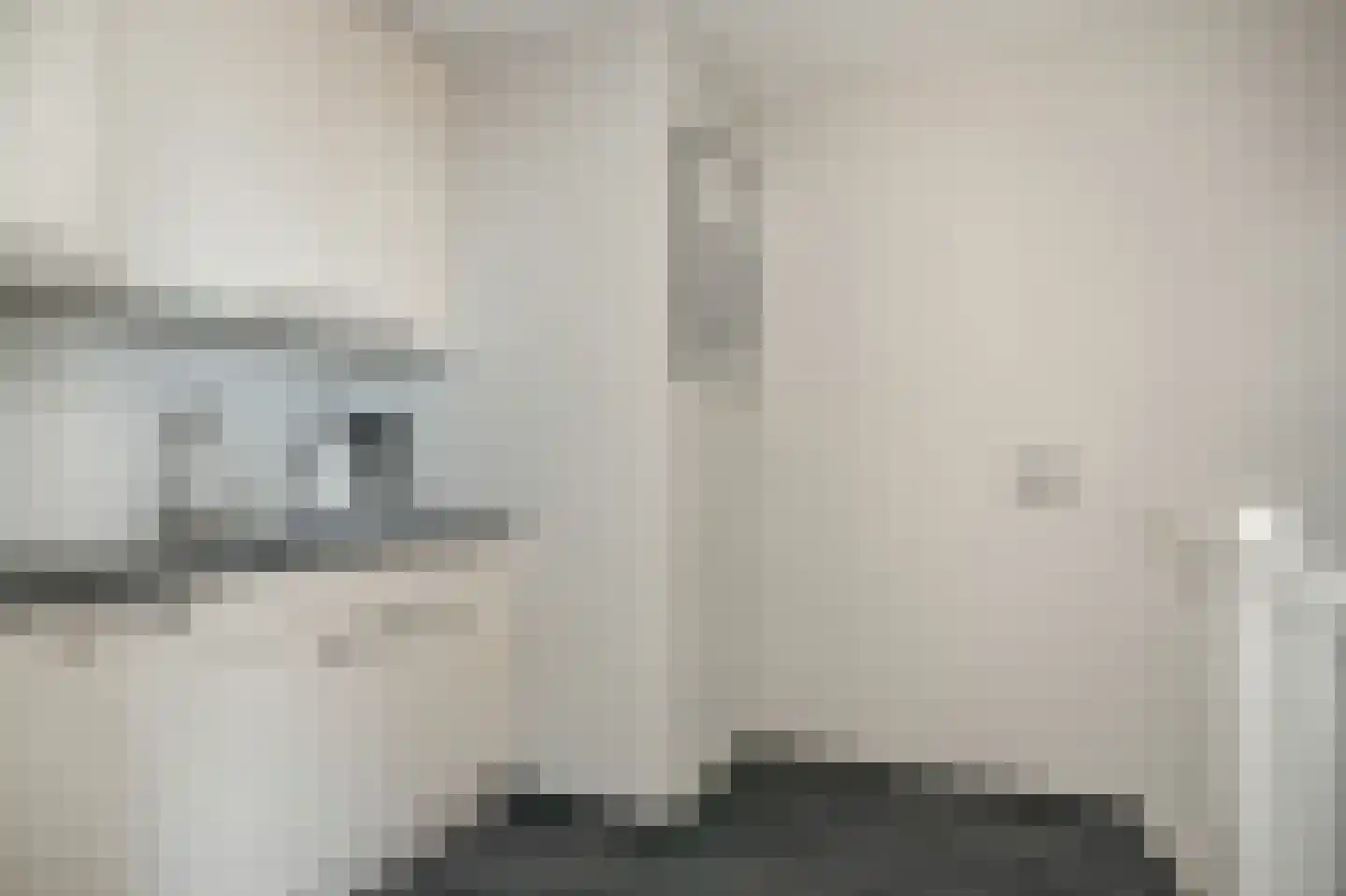 Swaenenstate 18 Opheusden thumbnail 24