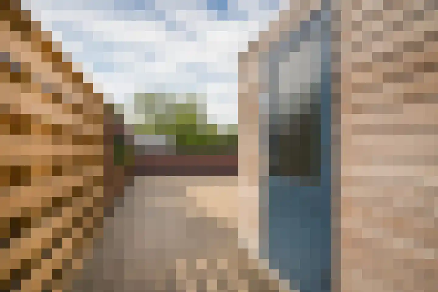 Swaenenstate 18 Opheusden thumbnail 37