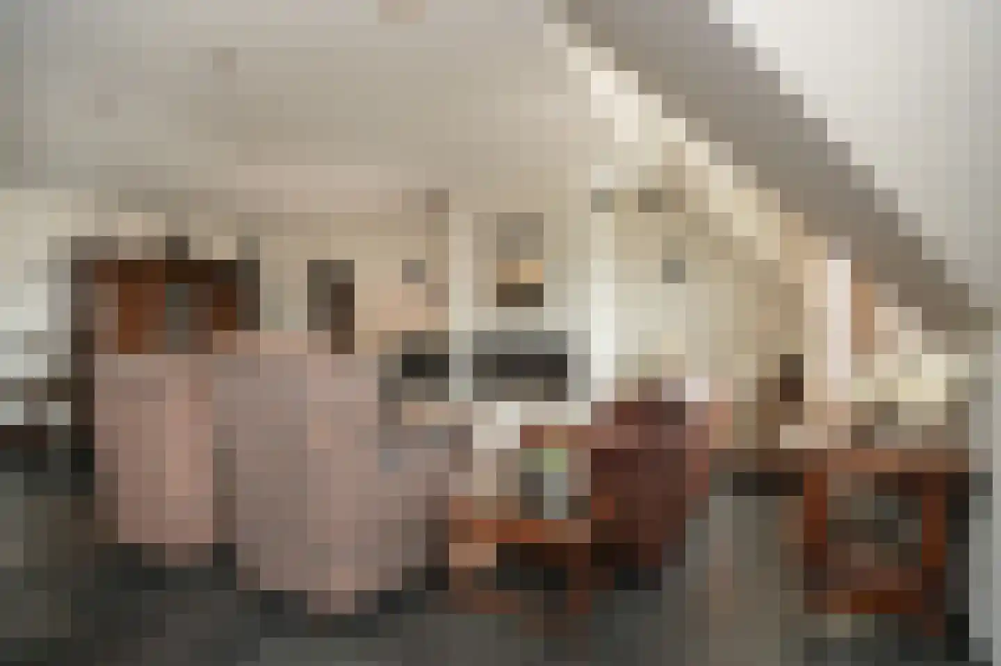 Swaenenstate 18 Opheusden thumbnail 4