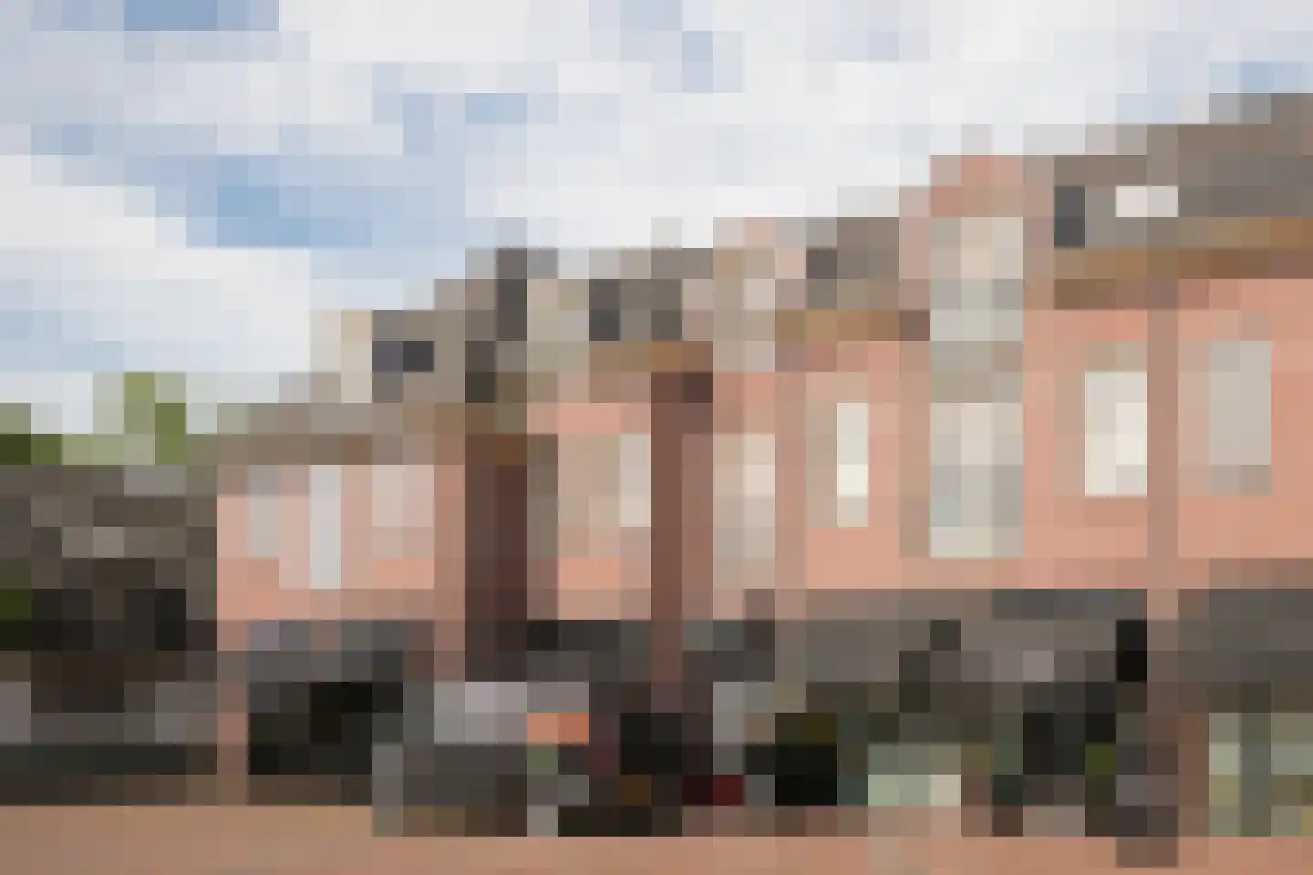 Swaenenstate 18 Opheusden thumbnail 41