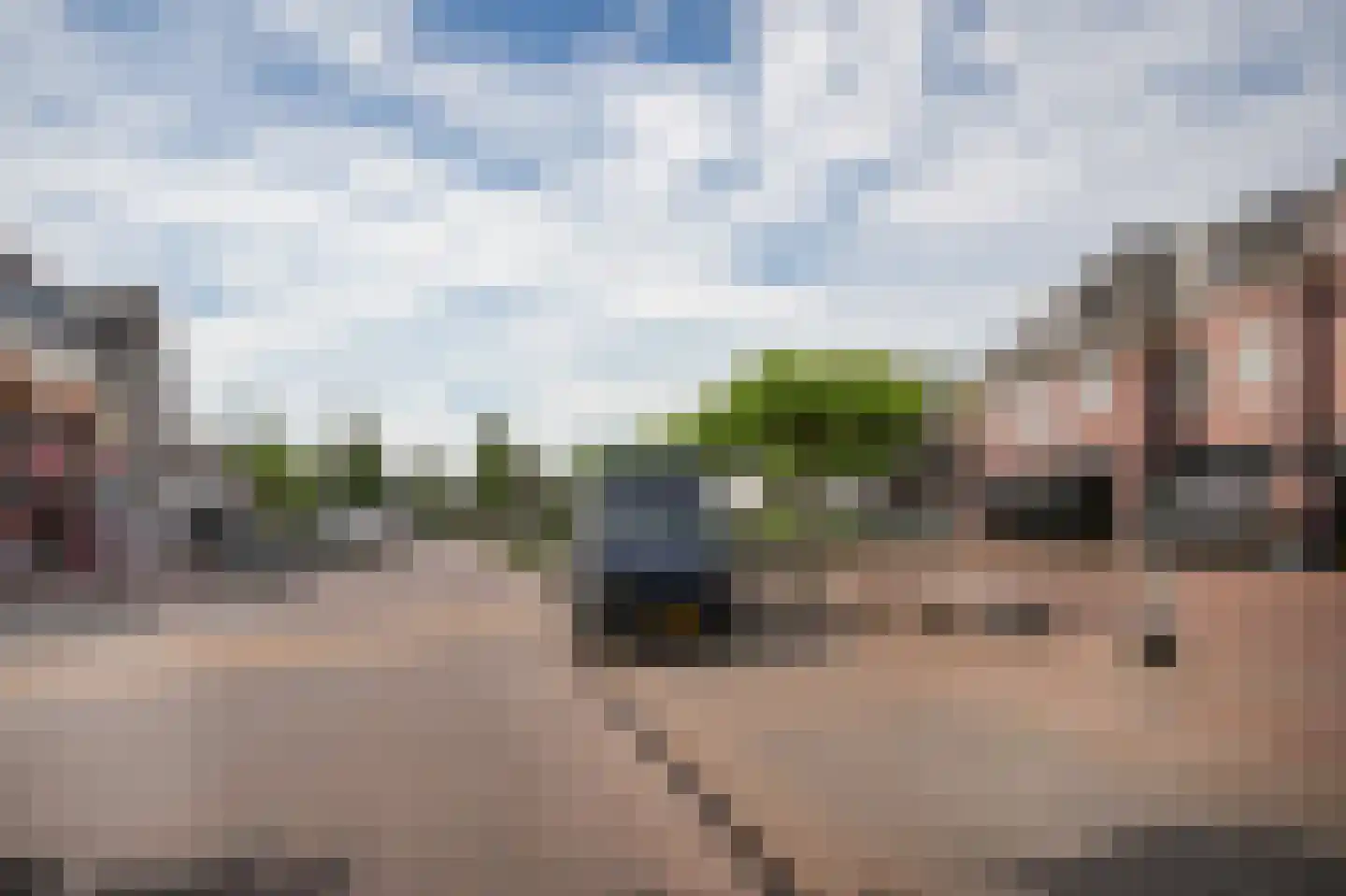 Swaenenstate 18 Opheusden thumbnail 43