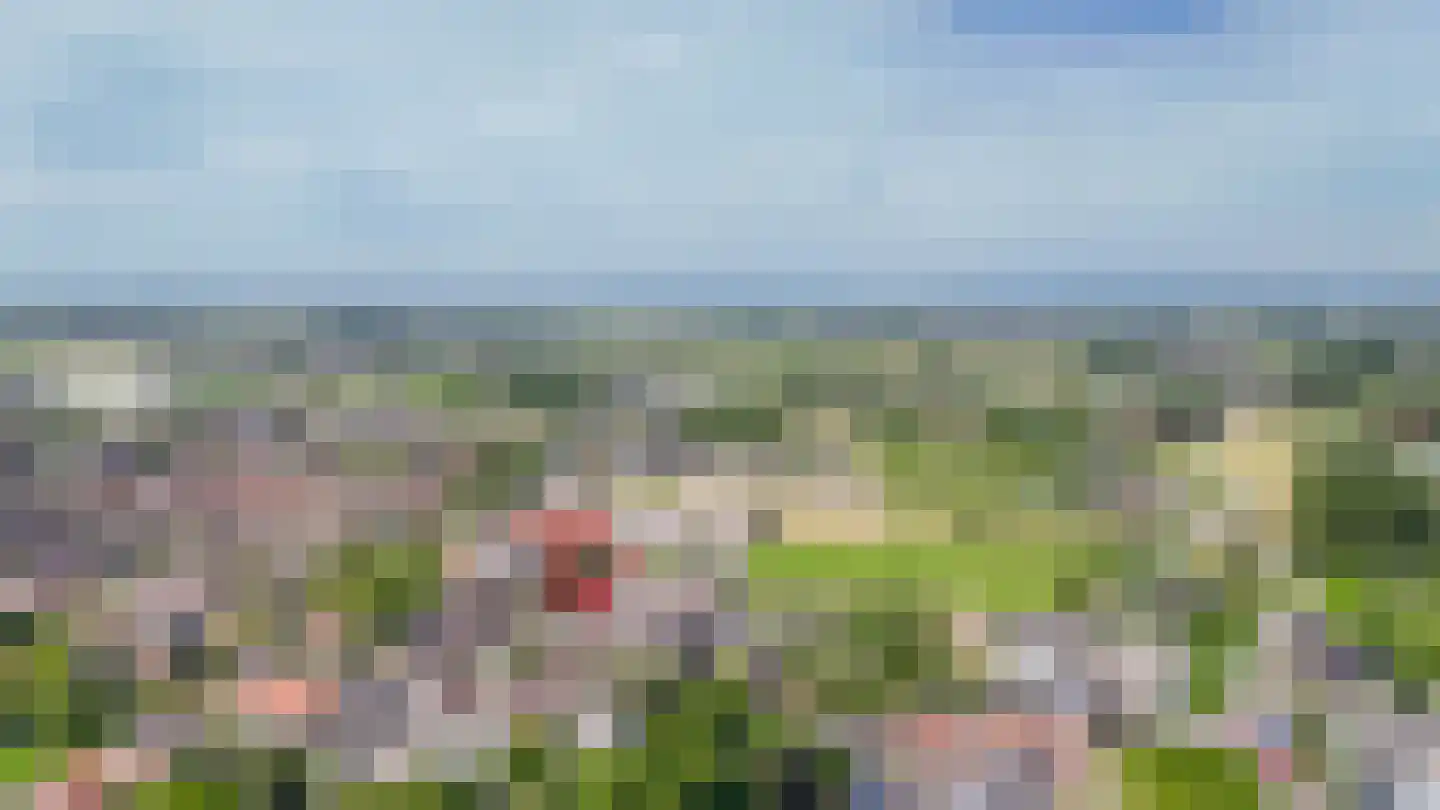 Swaenenstate 18 Opheusden thumbnail 47