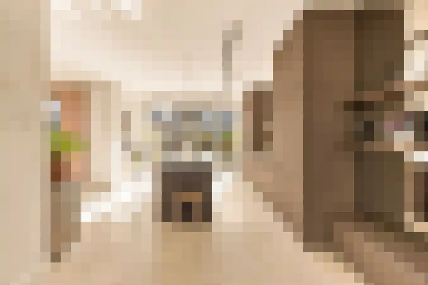 Swaenenvechtlaan 5 Weesp thumbnail 10