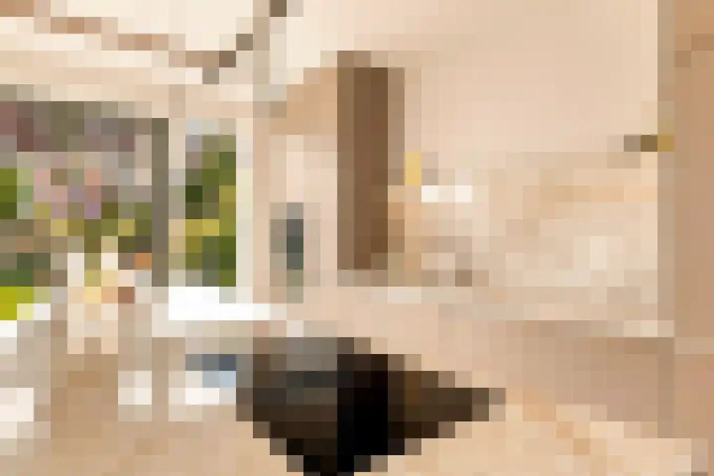 Swaenenvechtlaan 5 Weesp thumbnail 11