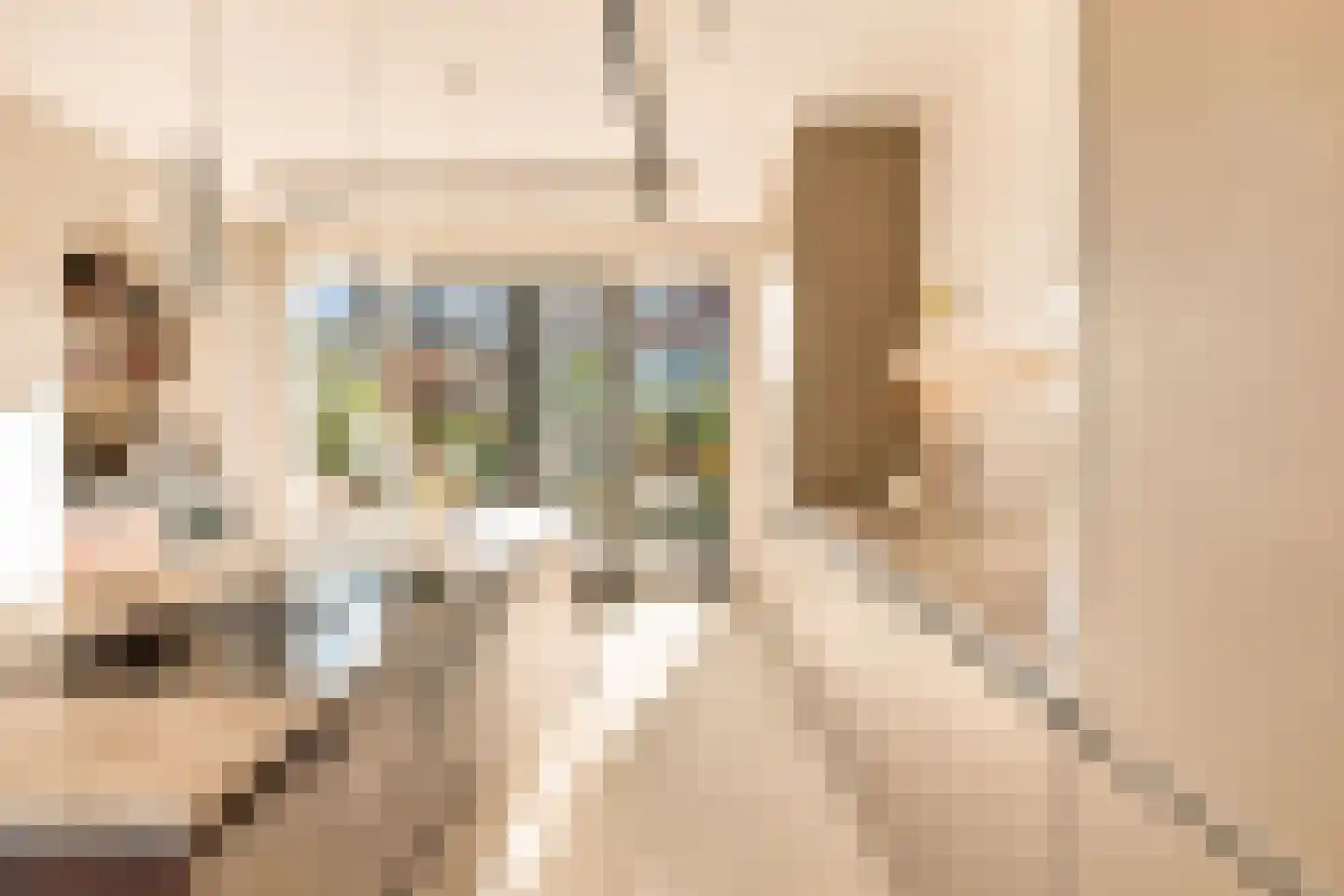 Swaenenvechtlaan 5 Weesp thumbnail 12