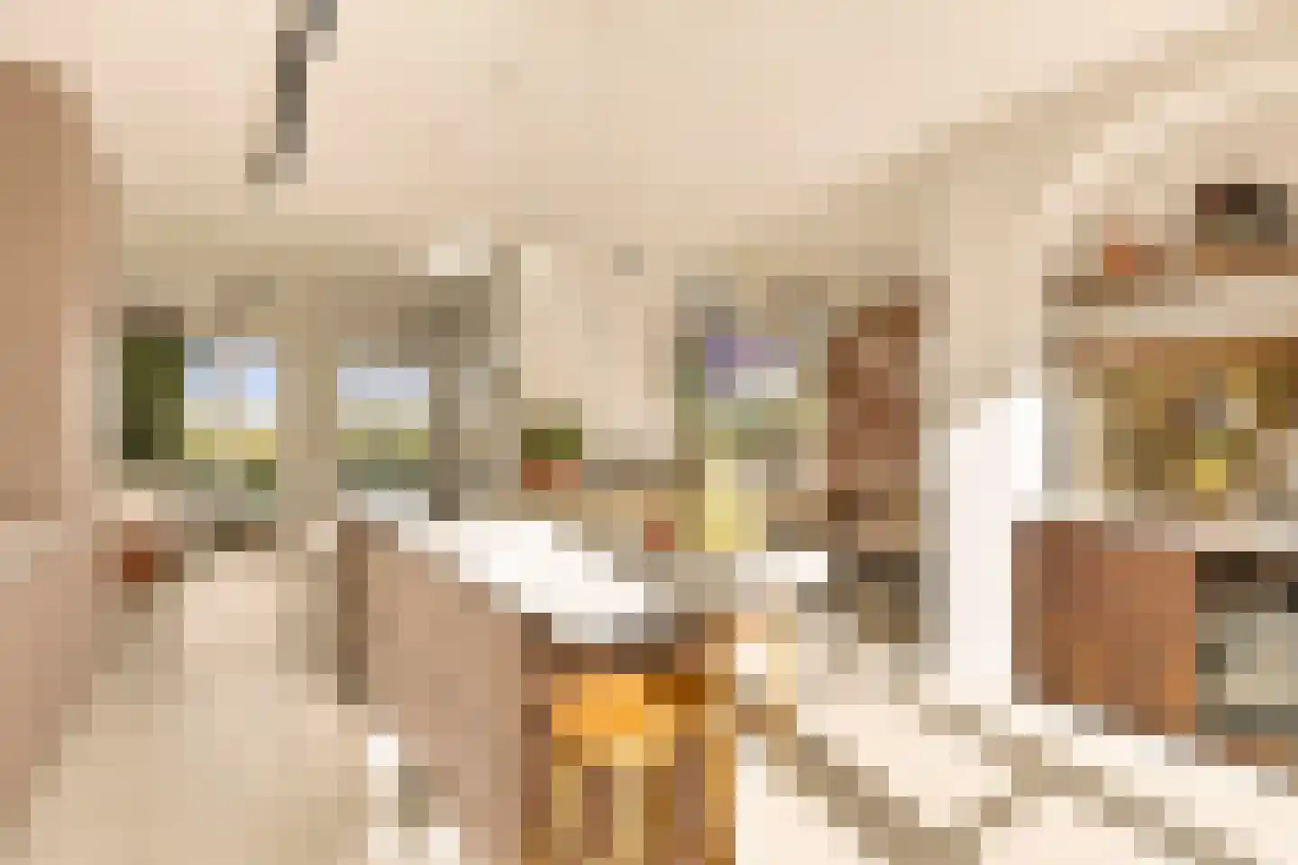 Swaenenvechtlaan 5 Weesp thumbnail 13