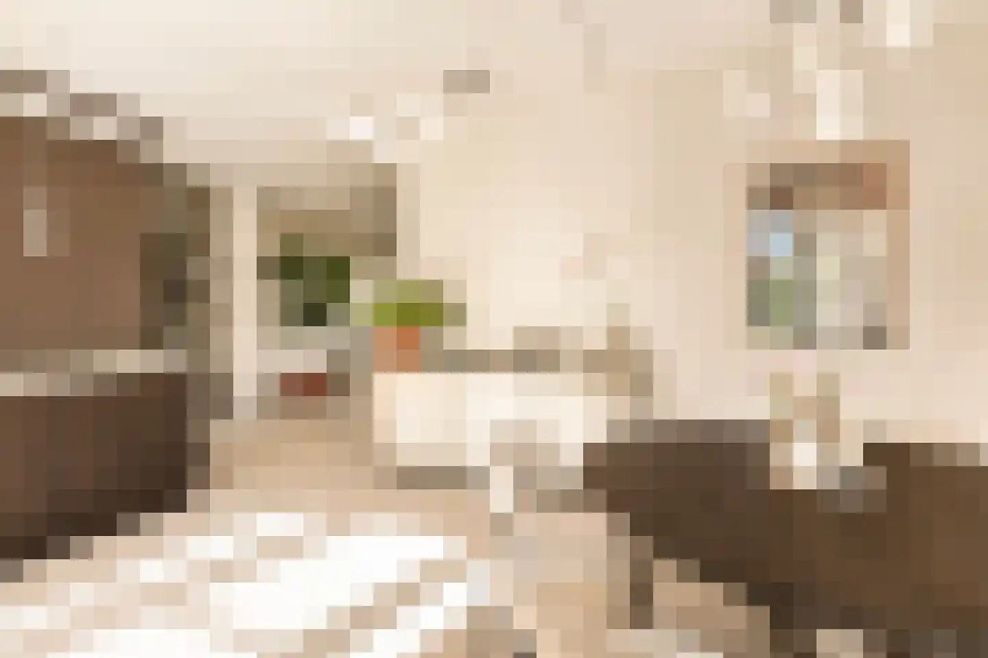 Swaenenvechtlaan 5 Weesp thumbnail 20