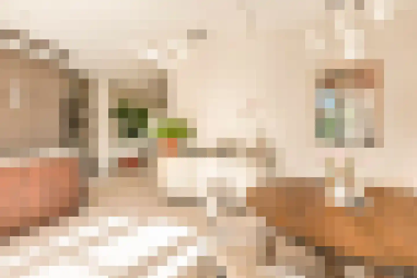 Swaenenvechtlaan 5 Weesp thumbnail 22