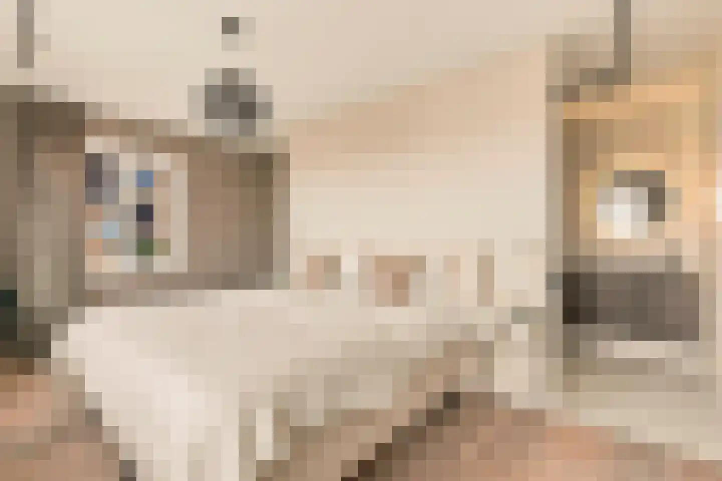 Swaenenvechtlaan 5 Weesp thumbnail 30