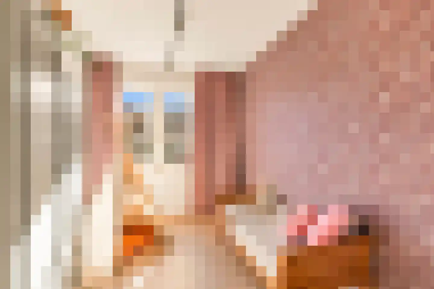 Swaenenvechtlaan 5 Weesp thumbnail 32