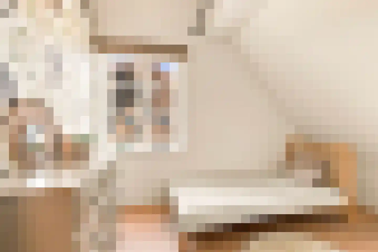Swaenenvechtlaan 5 Weesp thumbnail 34