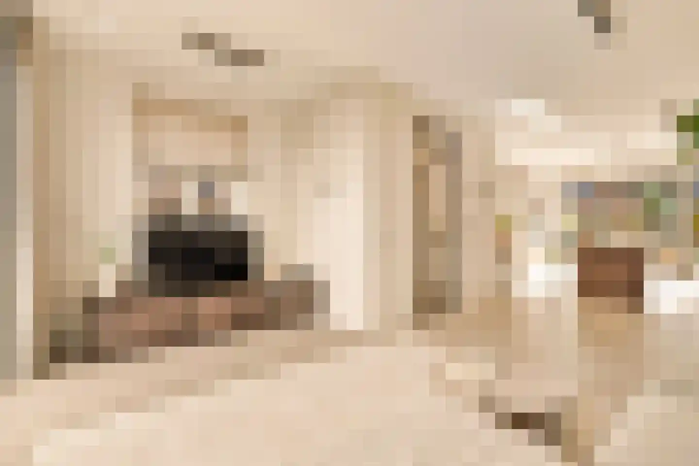 Swaenenvechtlaan 5 Weesp thumbnail 6